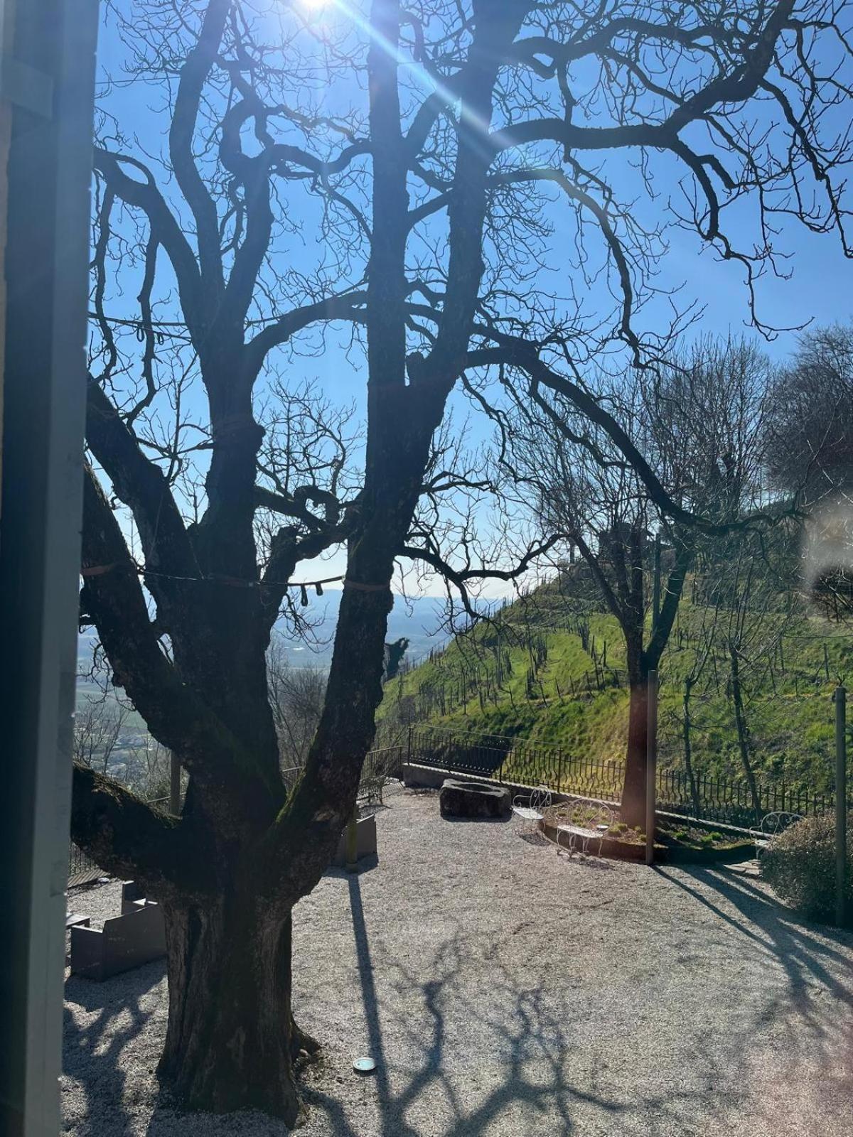 Locanda La Candola Farra di Soligo エクステリア 写真